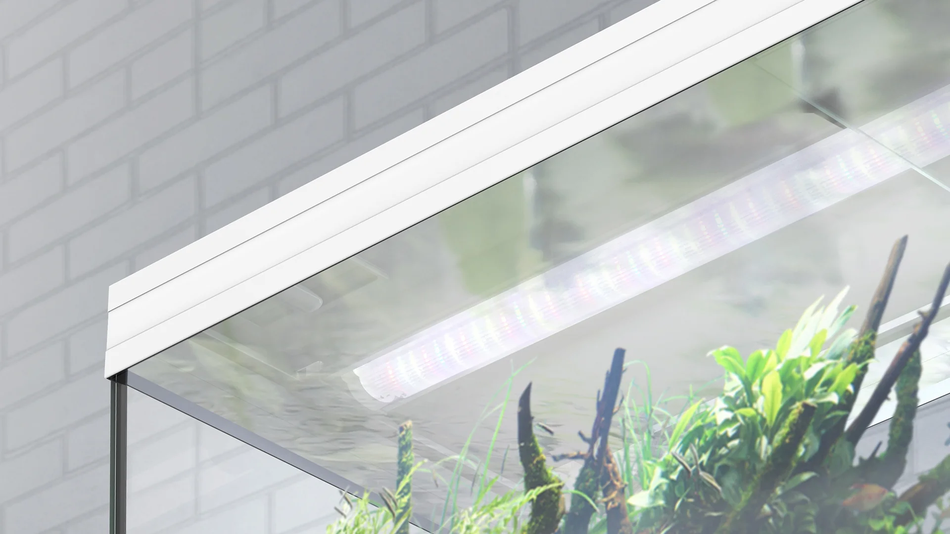 Thumbnail 20