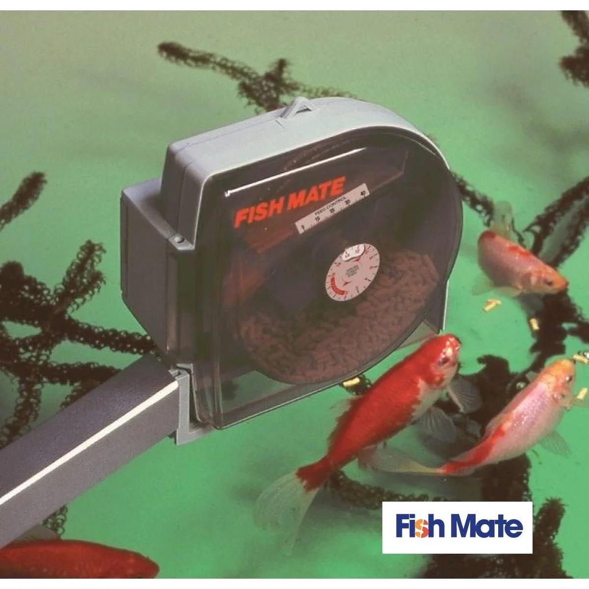 Thumbnail 8